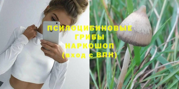 кокс Бородино