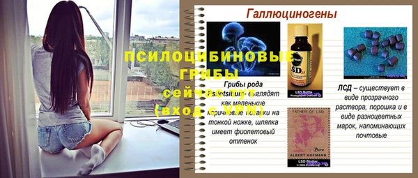 герыч Бронницы
