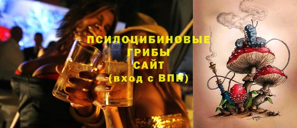 кокс Бородино