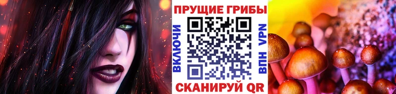Псилоцибиновые грибы ЛСД Купить закладки Вольск